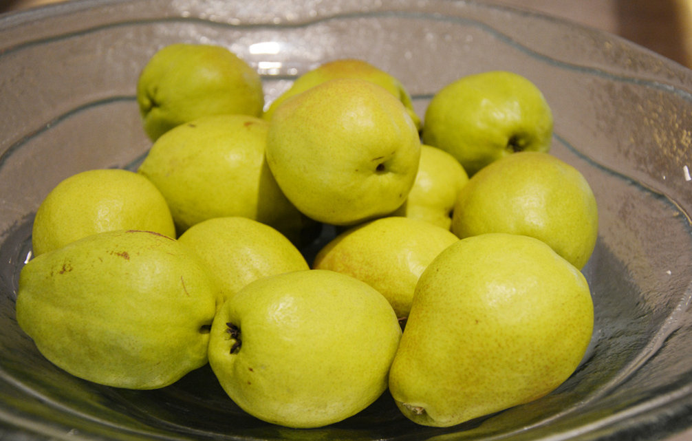 1478484305445465.jpg 3c8042c4cc8768e_w1006_h641.jpg