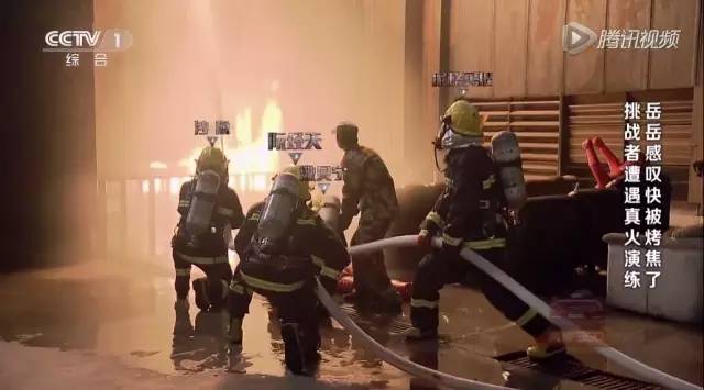 1455499350893296.jpg 9.jpg